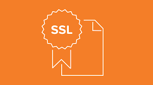 Are you suddenly getting SSL errors when&nbsp;publishing?